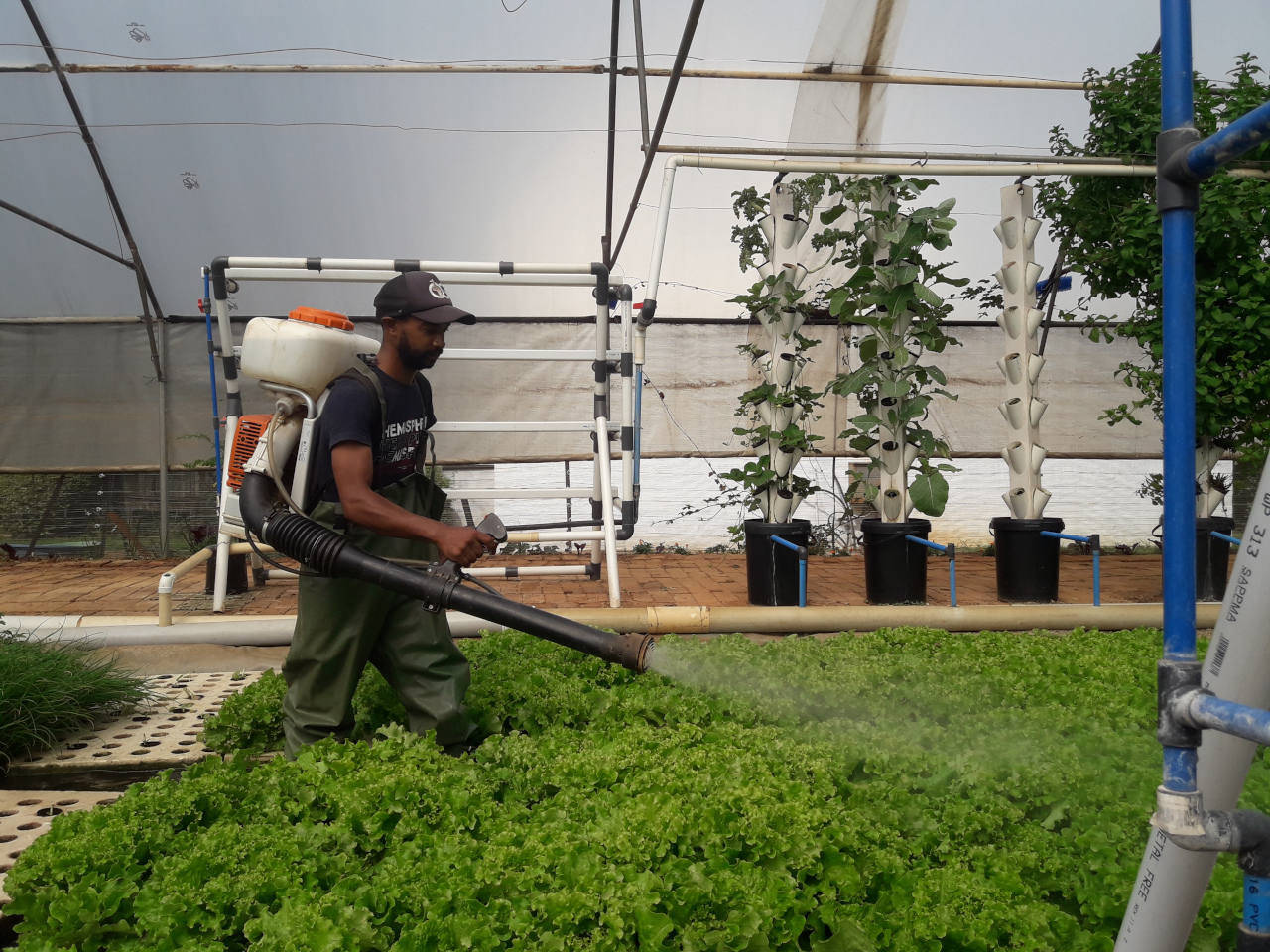 vvg-farmactivities-irrigation